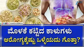 sprouted grains benefits |  ಪ್ರೊಟೀನ್&zwnj;ನ ಆಗರ, ಜೀವಸತ್ವಗಳ ಸಾಗರ ಮೊಳಕೆಕಾಳು