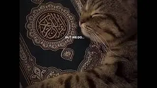 No hate to other religions. I respect every culture and tradition🙂