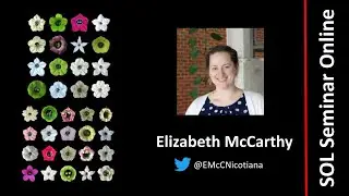 Elizabeth McCarthy - The evolution of flower color in Nicotiana allopolyploids
