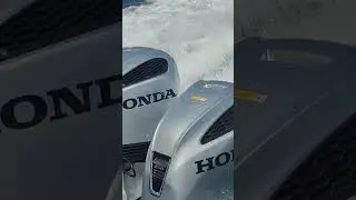 Основные моторы на островах HONDA  и  YAMAHA #ruboats #lordriver #orionboat