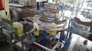 Semi Automatic Cartoning Machine
