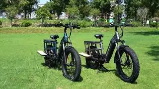 Bee Runner Cargo eBike | 1000W Motor, 48V 20Ah Battery & Ultimate Load Capacity