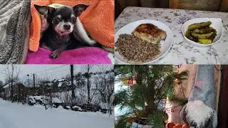 Полезный завтрак.Последние дни ПУШУНДРИКА🌲 Ужин не ПП🍗🤣
