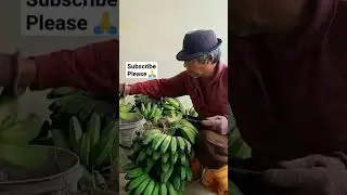 Farmer From Borneo 77