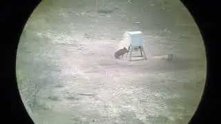 Windy shot, terrible audio.