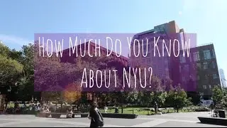 How Much Do You Know About NYU?