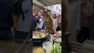 Monkey cooking noodles #aifunnyvideo #foryou #animalvideos #viralvideo