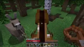 Water is great for bringing animals home with a Lead - Minecraft 1.21