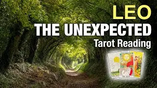 LEO THE UNEXPECTED 