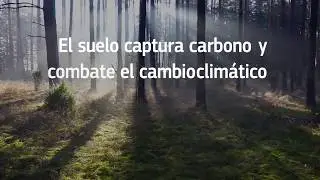 Protecci&oacute;n del suelo | Comisi&oacute;n Europea 🌱