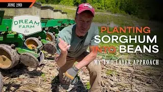 Planting Sorghum into Beans - My Two Layer Experiment | Dream Farm w/ Bill Winke