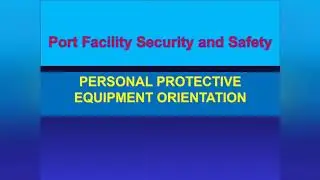 Port Safety Awareness on PPE l Staying Safe