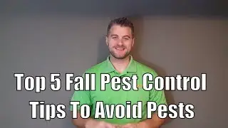 Top 5 Fall Pest Control Tips To Avoid Pests