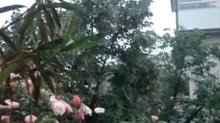 MOV05284