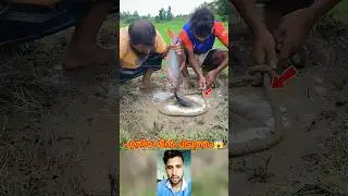 പുതിയ മീൻ പിടുത്തം #mallutraveler#fishingfreaks#shorts#mallu#malayalam#m4tech