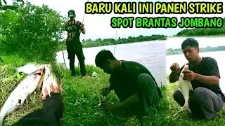 BARU KALI INI KETEMU SPOT TERGACOR DI SUNGAI BRANTAS JOMBANG