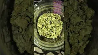 Quarter pound shake smalls and minis thca flower, Subscribe pleasee for more content like this 💨