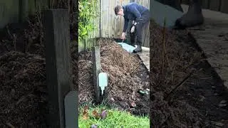 Mulching the ground for a new season! Part 2 #beforeandafter