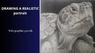 Drawing a realistic turtle - Time lapse