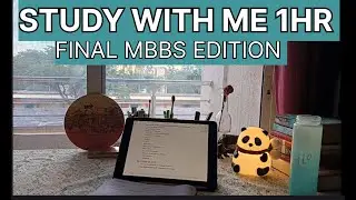 🌙Evening Study With Me 1 hr (Final MBBS edition)🩺
