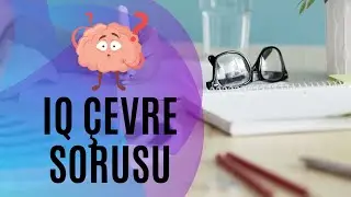 YÖS IQ ÇEVRE SORUSU ÇÖZÜMÜ  | (2023)