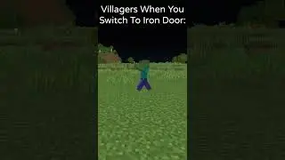 Villagers When You Switch to Iron Doors😳🤣 #shorts  #memes