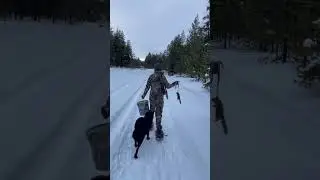 Winter squirrel hunting!!