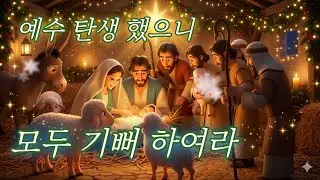 완도 주사랑교회 성탄전야 찬양대회 순위 영상