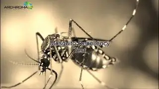 Brave Archroma employee self-tests anti-mosquito product
