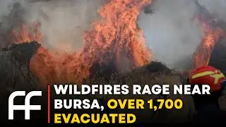Bursa on Fire: Forest Blaze Threatens Turkey&rsquo;s 4th‑Largest City | Factual Flow