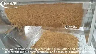 Herb Powder Medicine Granulator | Lab Herbal Powder Granulation Test