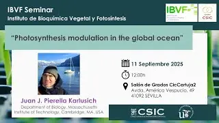Seminario IBVF - Photosynthesis modulation in the global ocean (Juan J. Pierella Karlusich)