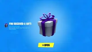 Fortnite : Braniyt YouTube gifted me This