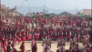 Thangkul Long Naga dance Shamator town 
