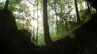 Alexx Antaeus - Time