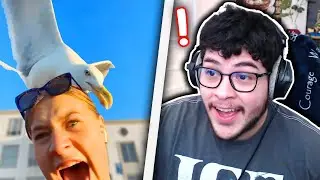 Reacting To Ol Classic Daily Dose Of Internet