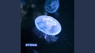 瞬間魔法