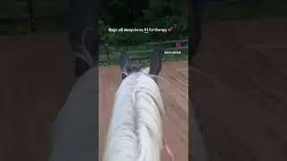 Kill pen to thriving 💜.  #rescue #therapy #horses #horselover #apha #farmlife #summer #tbt #magic