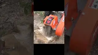 No stump is too big or too small for our Stump Grinder!