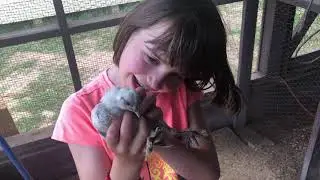 Horsegate Ranch Summer 2018