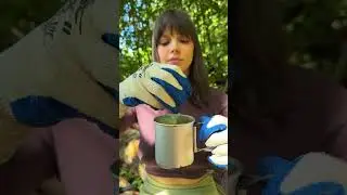 Random Camping Hacks from a Beautiful Girl 🌲✨ #CampingHacks #OutdoorTips