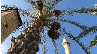 Mosques of Abu Ghosh, Israel