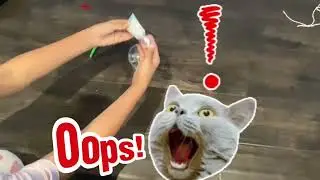 Testing out a NO GLUE SLIME RECIPE!!!