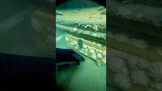 I Found a Hidden Drawer in a 300 Year Old Shipwreck! ⚓💎