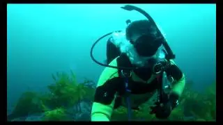 Dive @ Dee Why Wide 17th November 2012