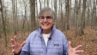 GOiN Spirituality in Nature Practice | Beth Norcross