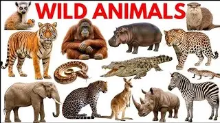 Wild Savanna Animal Sounds Song | Animal Sounds Song For Kids| Wild Animal Names & Sounds To Learn
