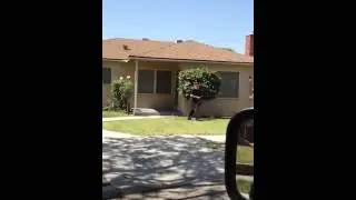 Mike Oyoque - My 79 year old dad passing flyers