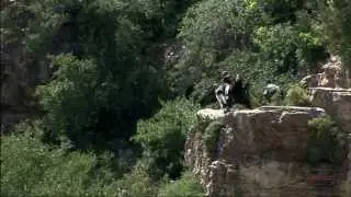 California Condors in Grand Canyon National Park