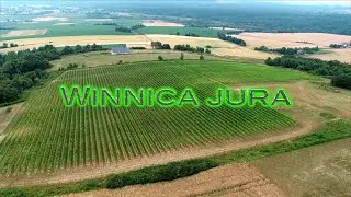 Winnica JURA. Małopolska. NA WINNYM SZLAKU #13